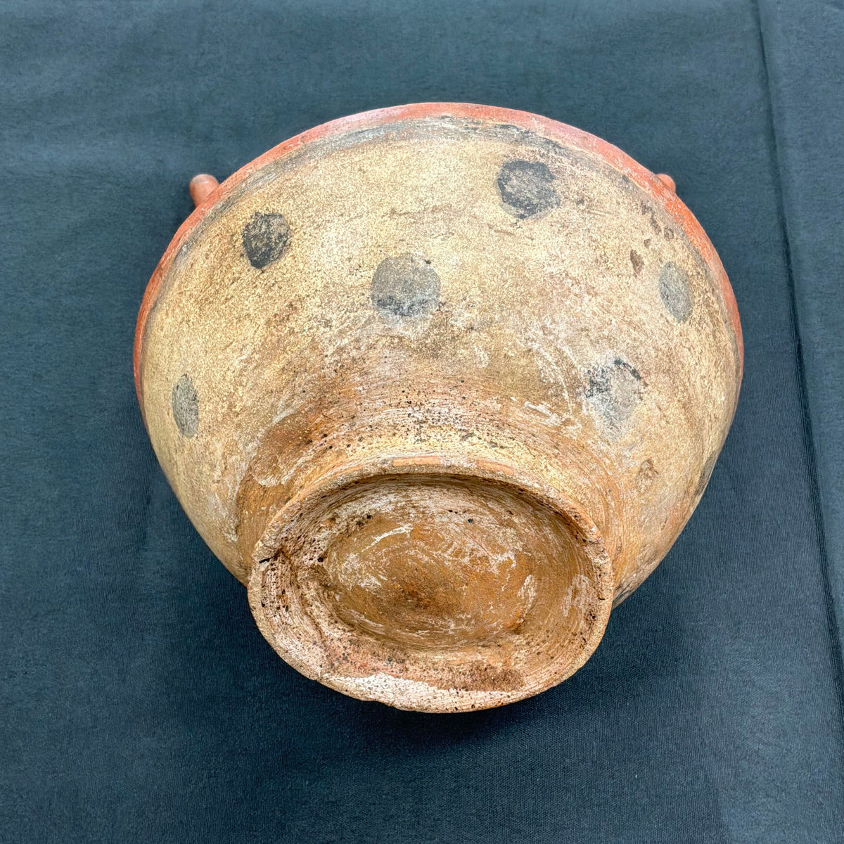 Double Sprouted Stirrup Vessel